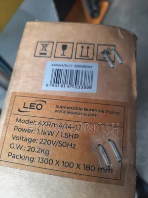 Leo Bore Hole Pump