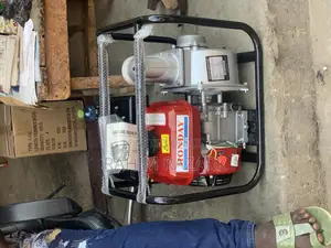 WP30 Water Pump
