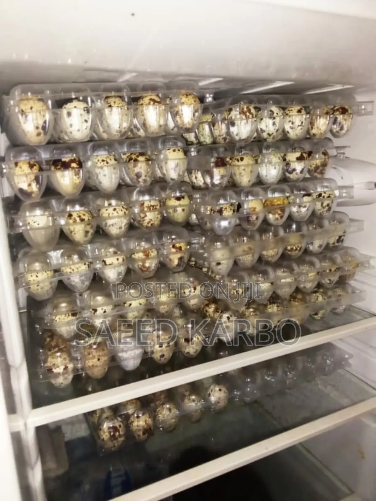 Quail Eggs