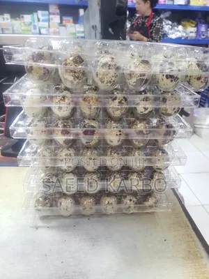 Quail Eggs