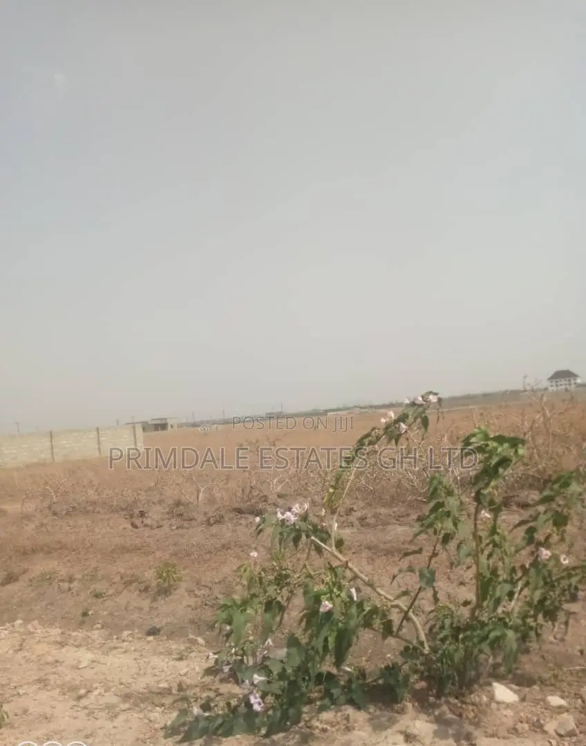 Developing Estate Lands Tsopoli Affordable