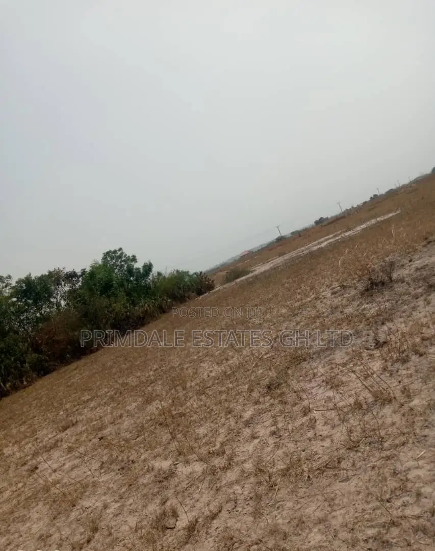 Developing Estate Lands Tsopoli Affordable