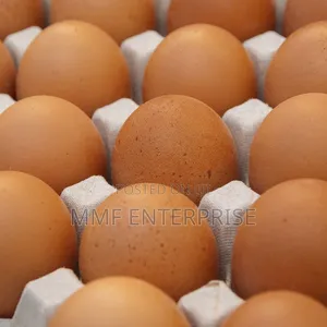 MMF Egg Enterprise