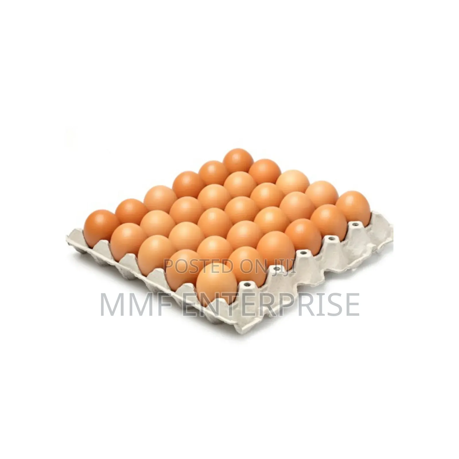 MMF Egg Enterprise