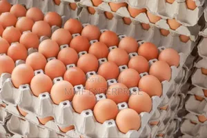MMF Egg Enterprise