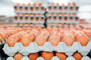 MMF Egg Enterprise
