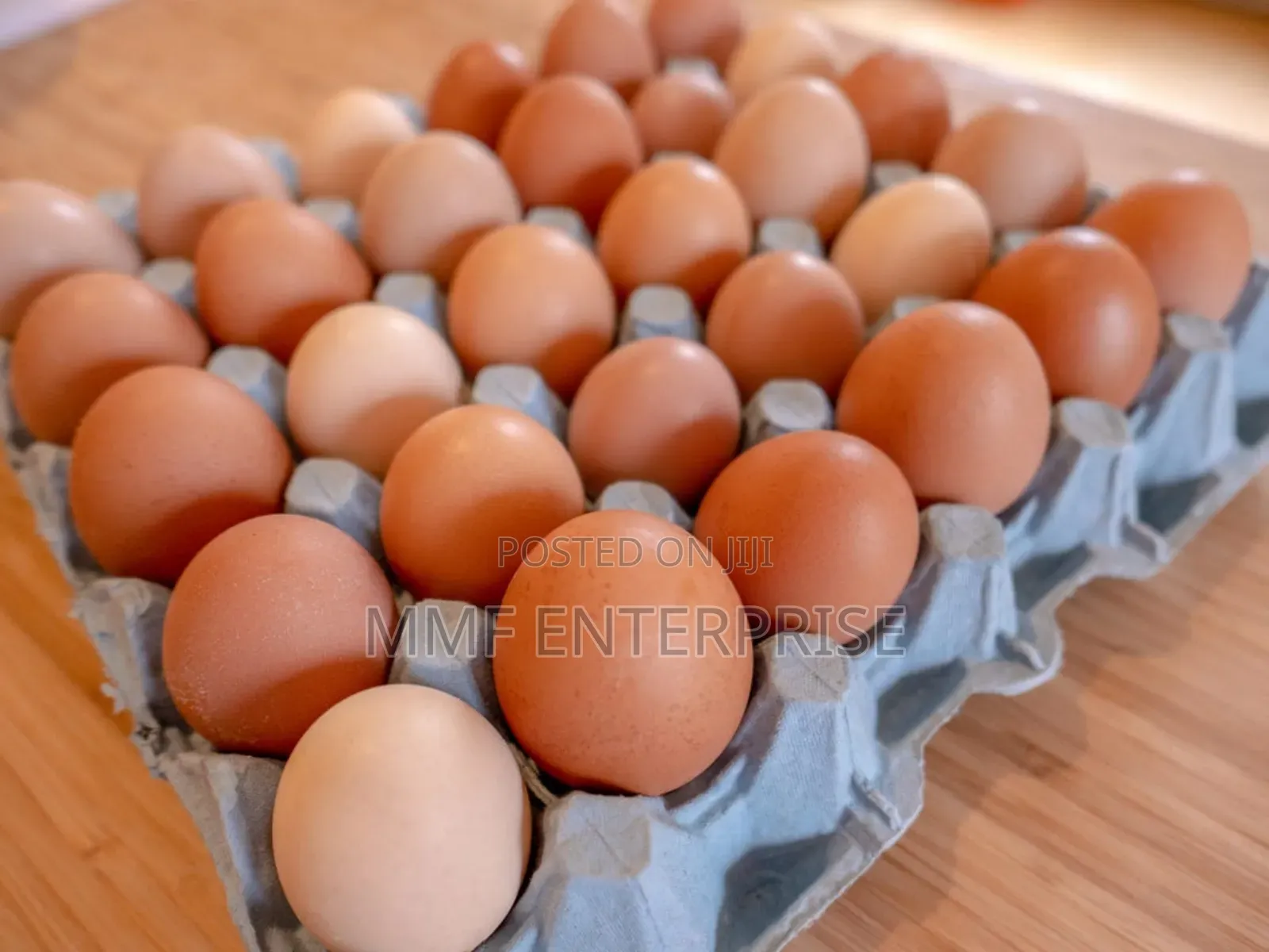 MMF Egg Enterprise