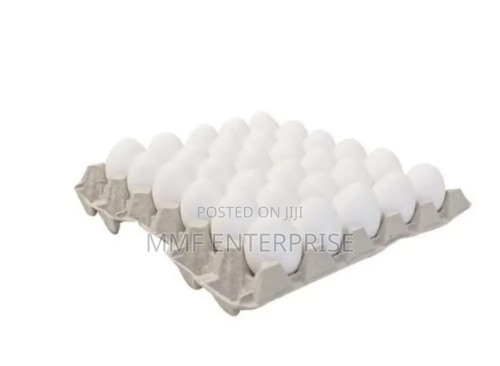 MMF Egg Enterprise