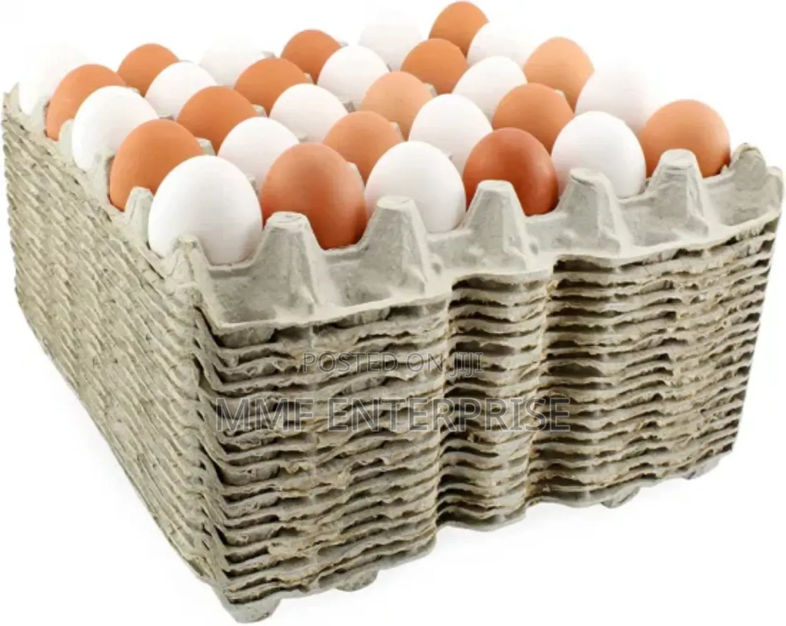 MMF Egg Enterprise