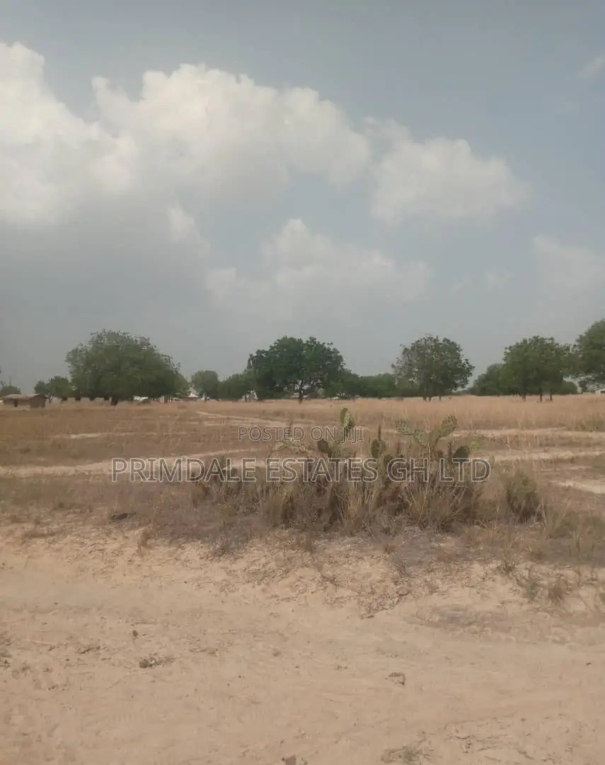 50x70sqft Tsopoli Demarcated Plots