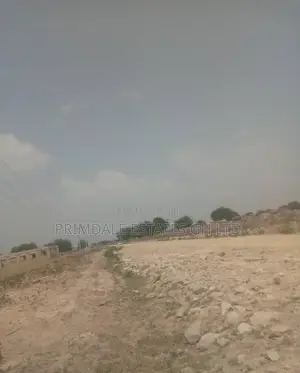 Huge Prampram Discount Genuine Affordable Lands on Sale