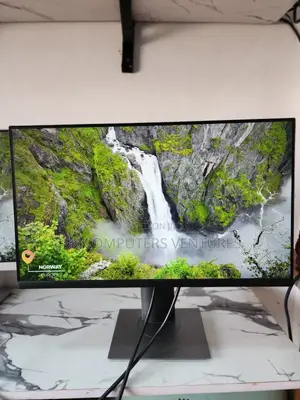 Dell P2422h 24" FHD Ips Monitor | 60hz, Usb Hub, Hdmi
