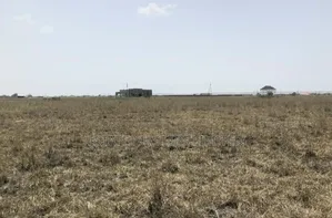 Litigation Free Estate Land With Free Documentation"Prampram