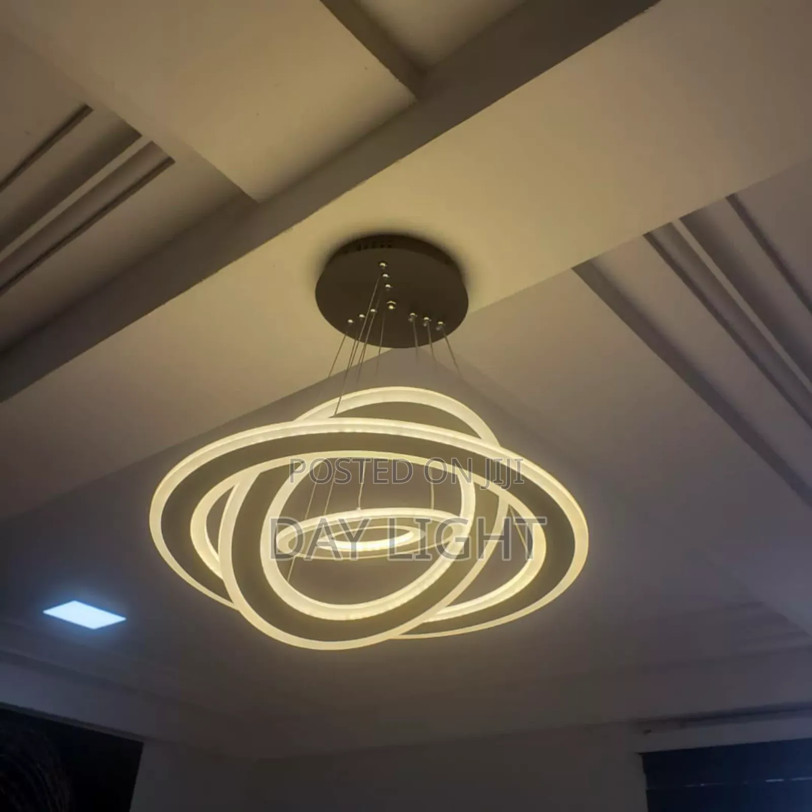 Ceiling Chandelier Light.