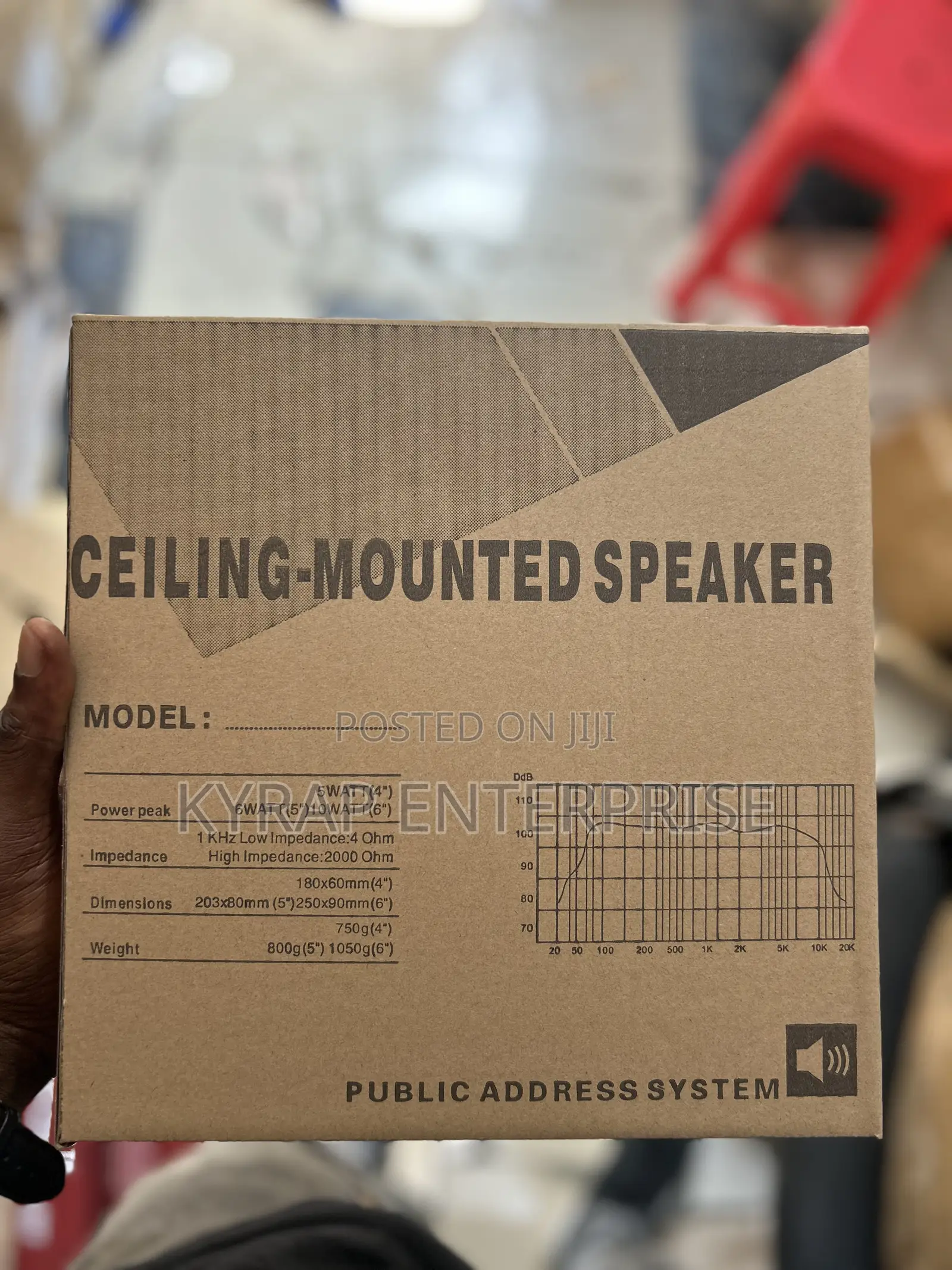 10 Inches Ceiling Speaker