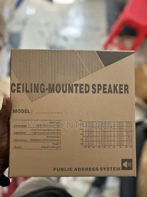 10 Inches Ceiling Speaker