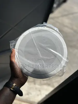 10 Inches Ceiling Speaker