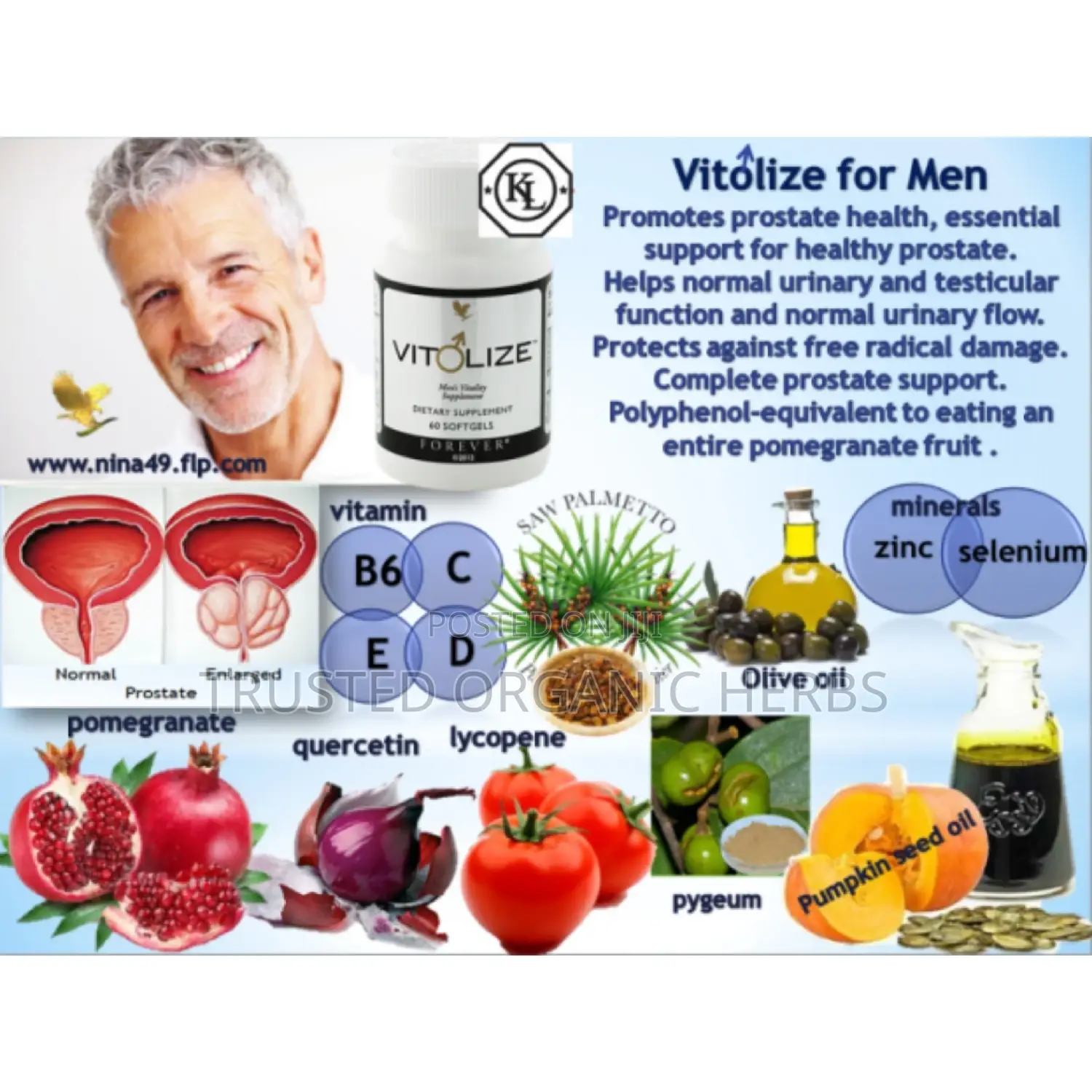 Vitolize Men - Shrink Enlarged Prostate Naturally