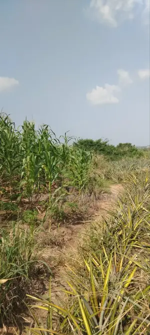 1 and Half Serviced Plots for Sale