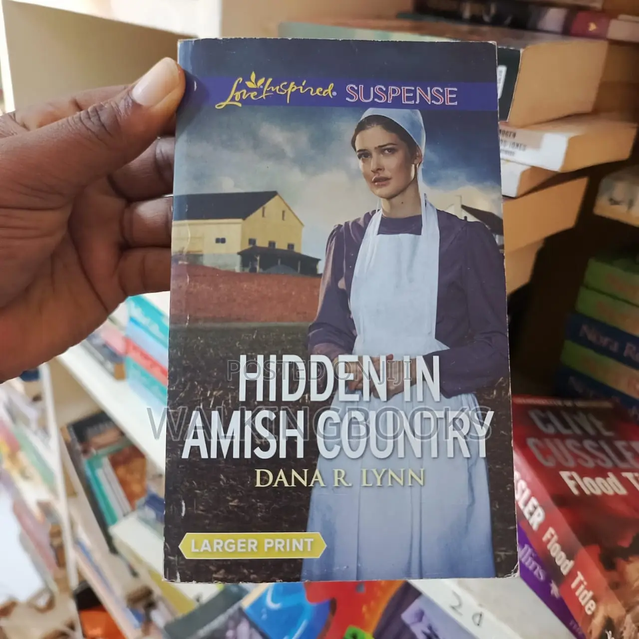 Hidden in Amish Country by Dana Lynn