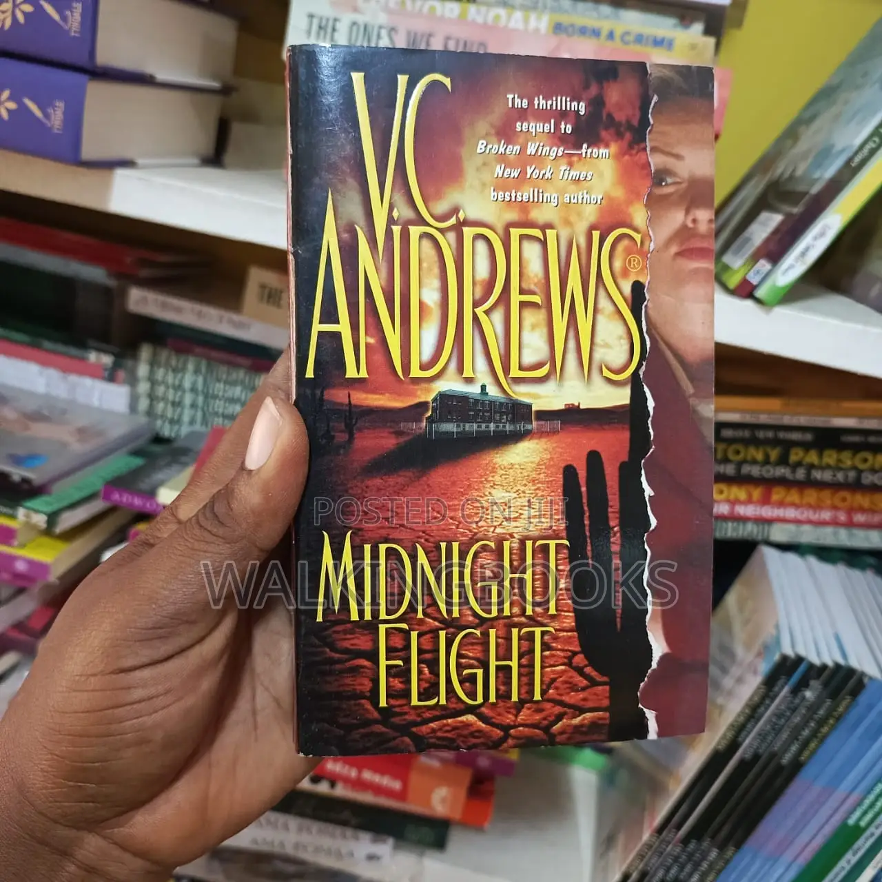 Midnight Flight by v. C. Andrew