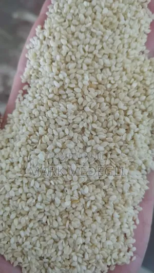Sesame Seeds