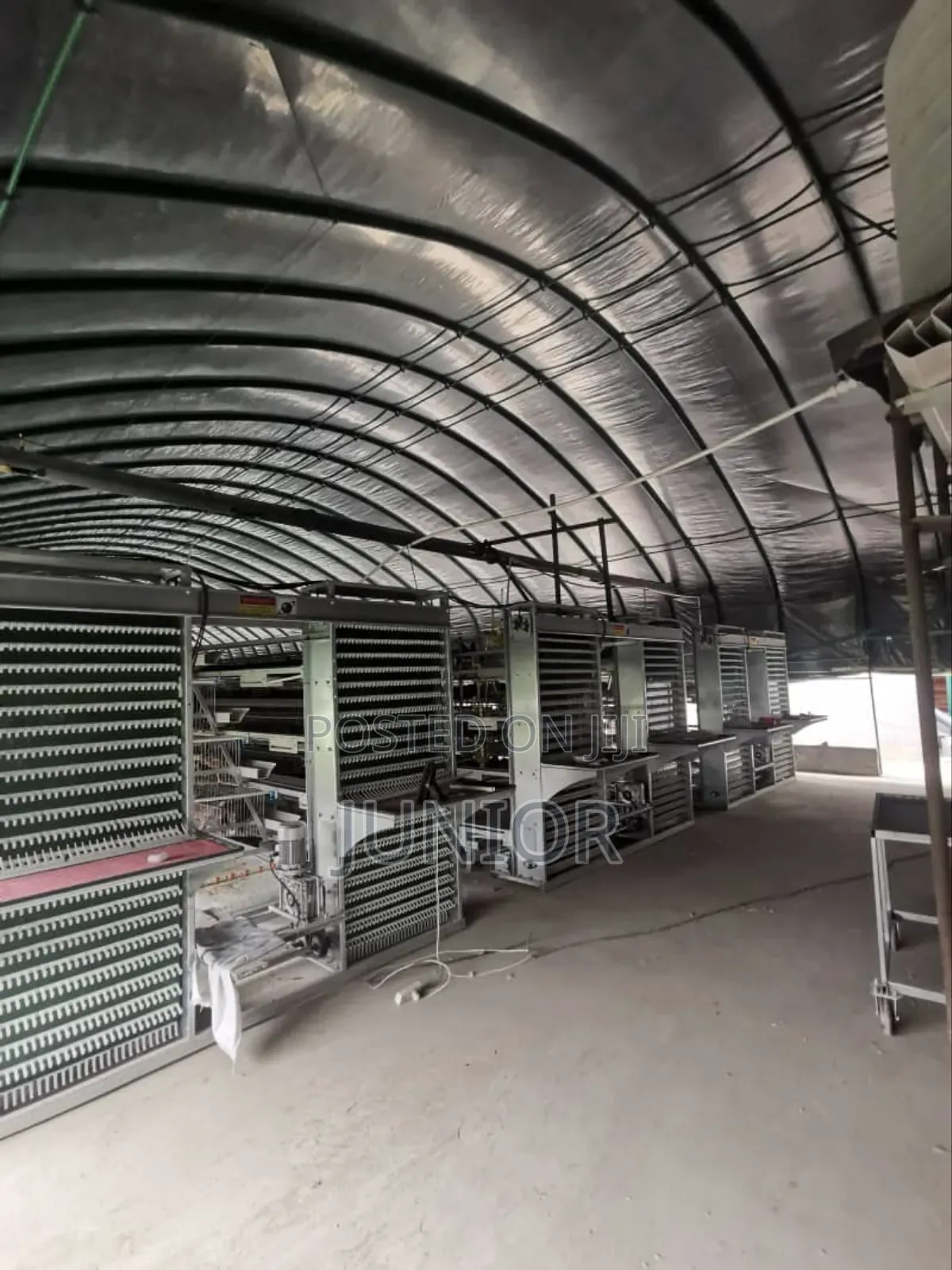 Fully Automatic Cage Systems
