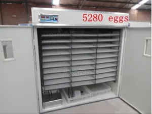 Industrial Incubators (Various Capacities)