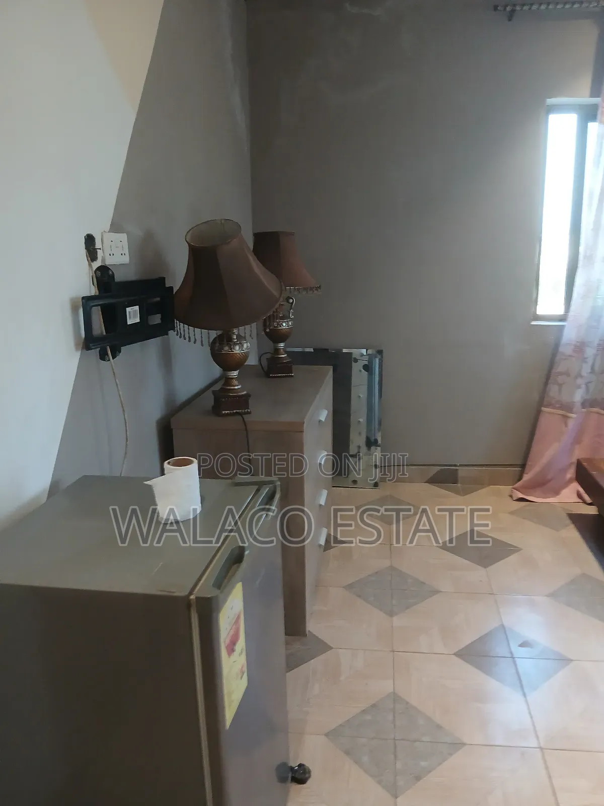 Furnished 1bdrm Apartment in Walako Estate, North Industrial Area