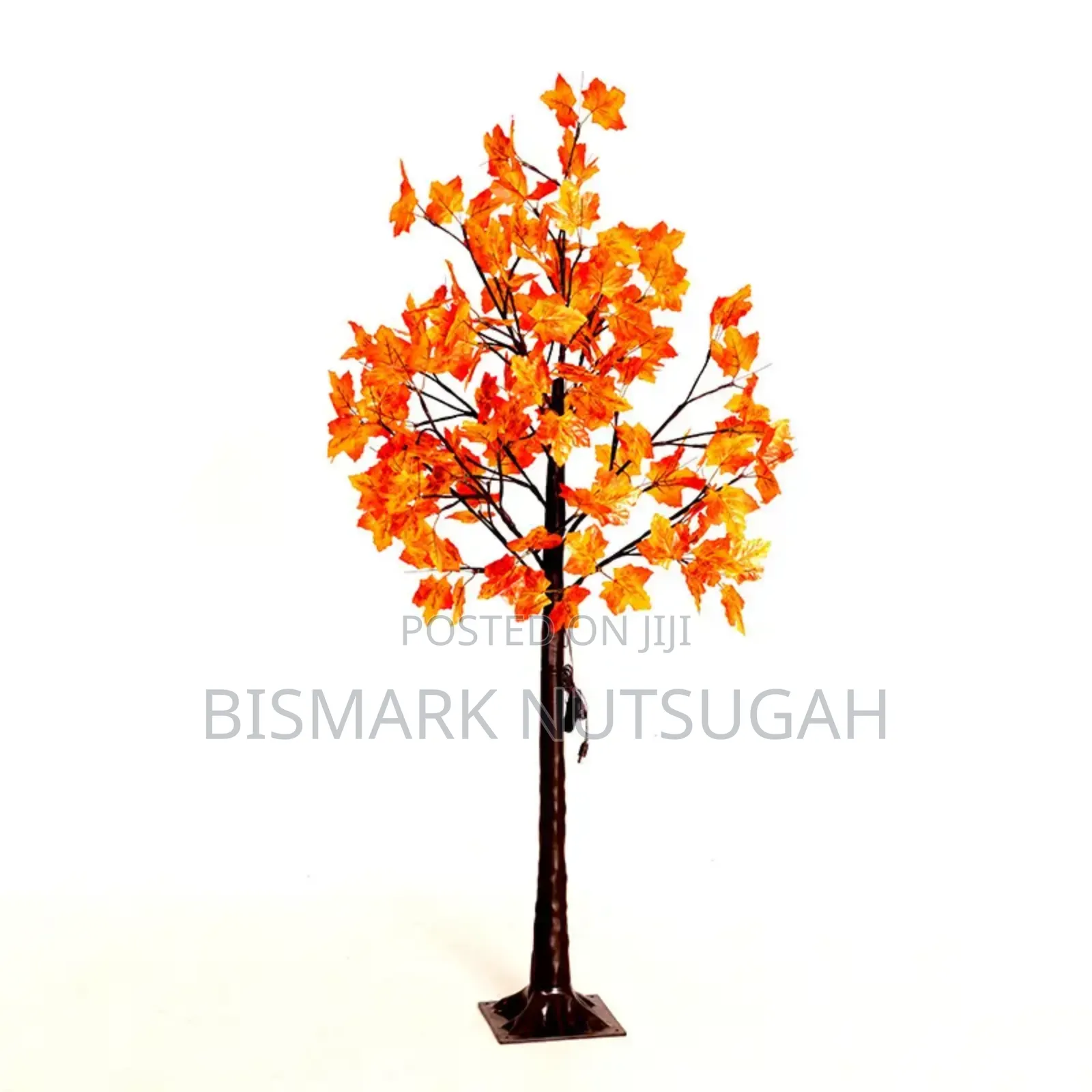 Light Tree for Sale