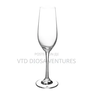 Wine / Champagne Flute Glasses