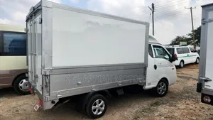 Hyundia Porter, Win Bady Truck