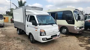 Hyundia Porter, Win Bady Truck