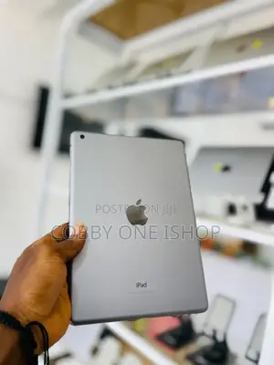 Apple iPad Air 16 GB Gray