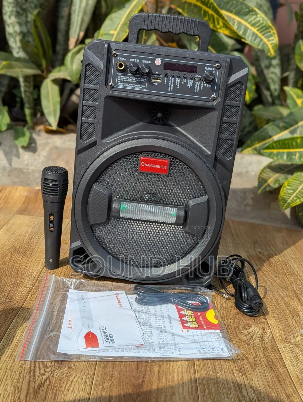 Professional Rechargeable Speaker With Microphone