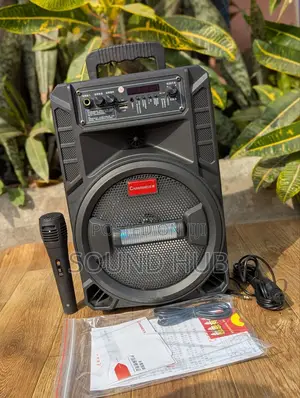 Professional Rechargeable Speaker With Microphone