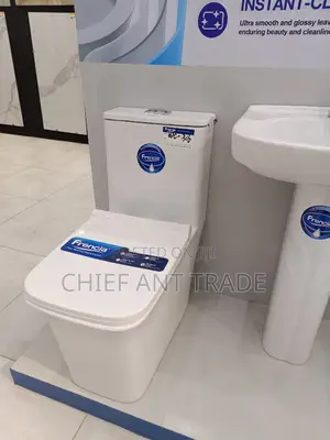 Combined Wc. Toilet Seat. 306