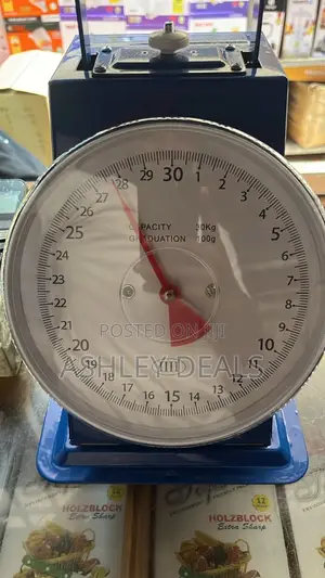 Commercial 30kg Spring Platform Scale