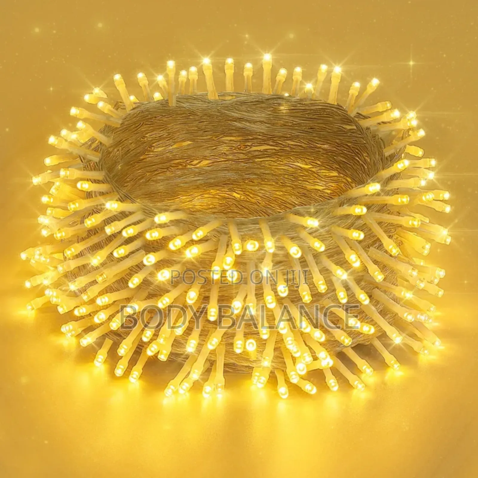 Christmas Led Lights(30M)