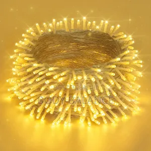 Christmas Led Lights(30M)
