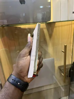 New Apple iPhone 13 Pro Max 256 GB Gold