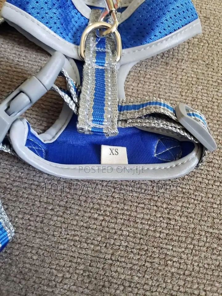 Duomm Dog Harness