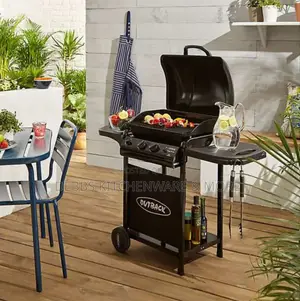 2 Burner Gas BBQ Grill With Side Stove
