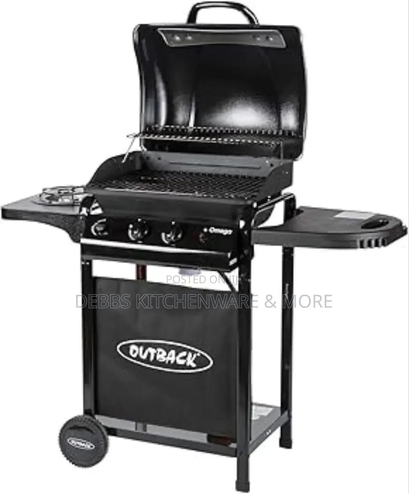 2 Burner Gas BBQ Grill With Side Stove