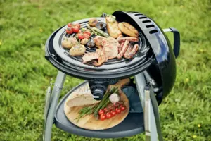 Trekker Portable Gas BBQ