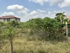One Full Plot for Sale at Sokoban Apaaso,Odaso.