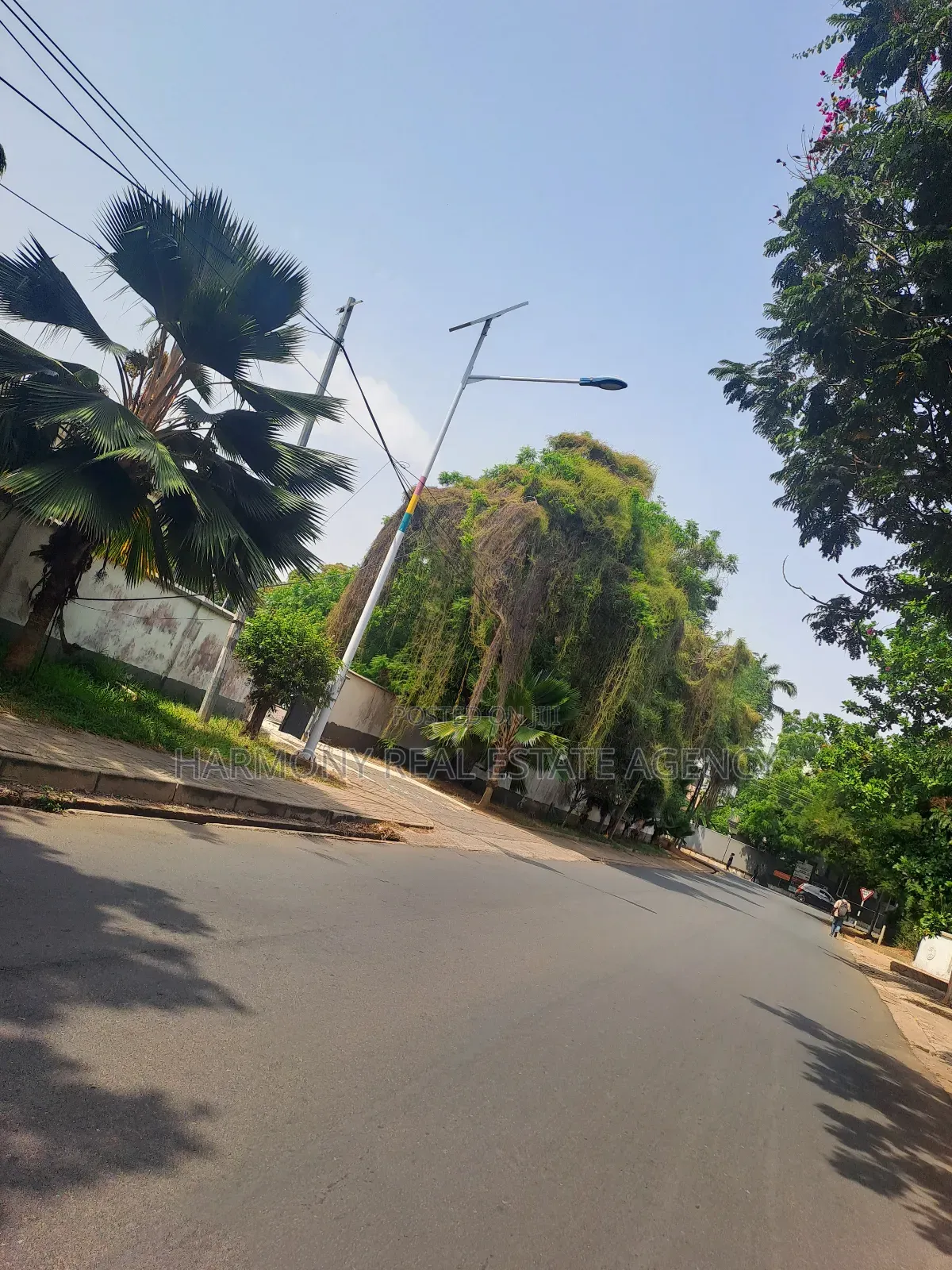 Land Forsale -Osu