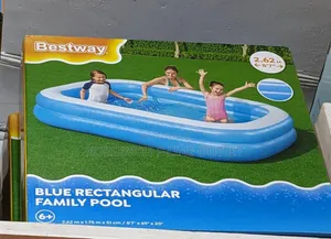 Bestway Swimming Pool