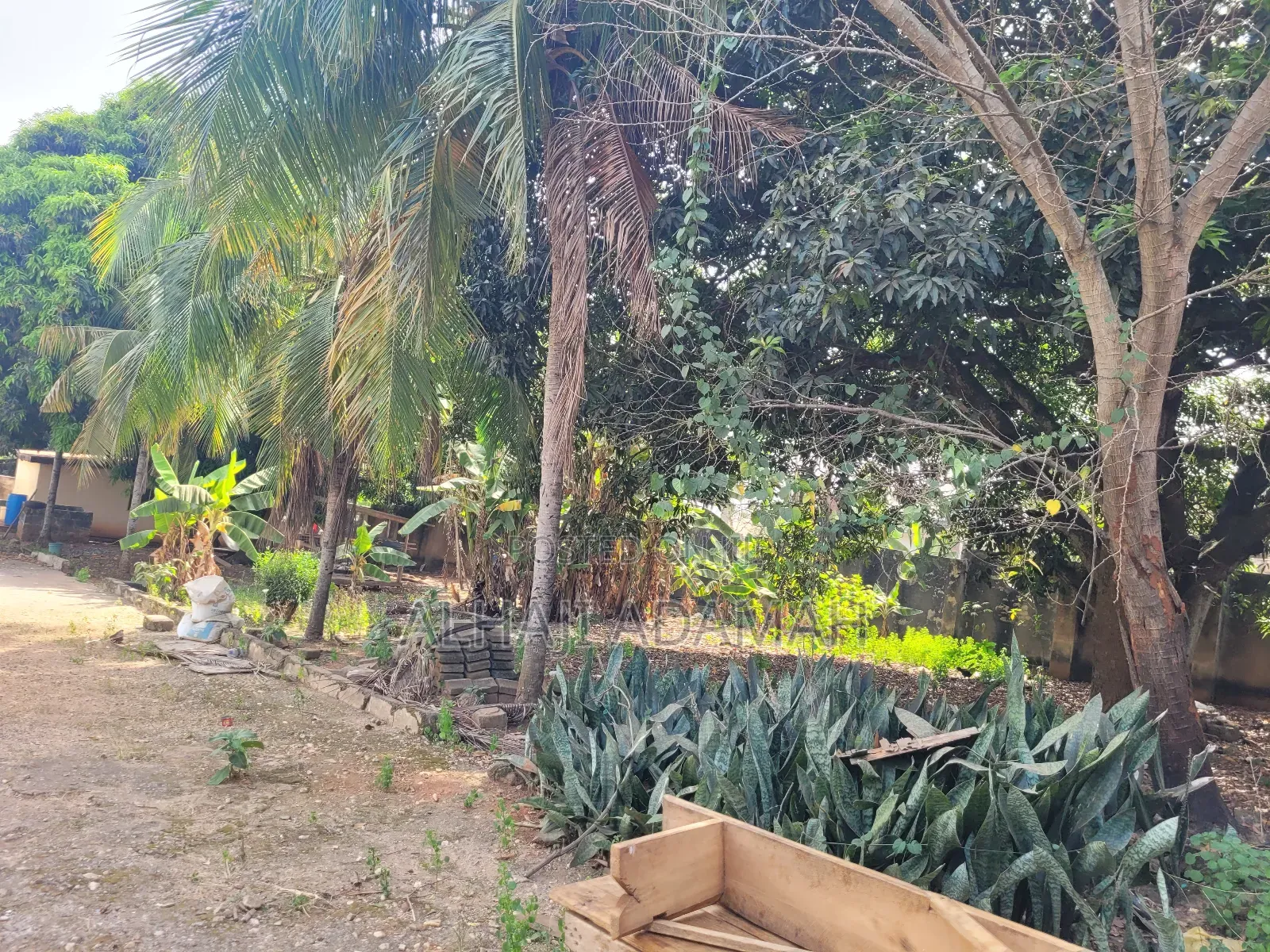 Ten Plots at Adiembra Near Ahodwo Nhyiaeso