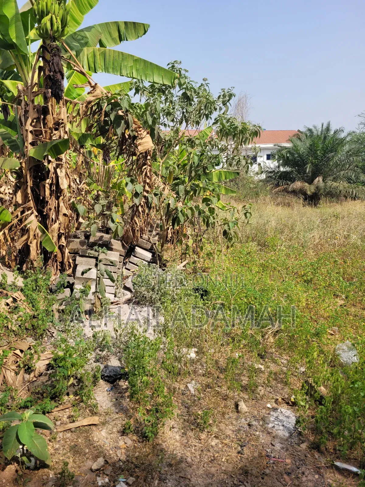 Ten Plots at Adiembra Near Ahodwo Nhyiaeso